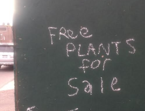 Free Plants…Psych!